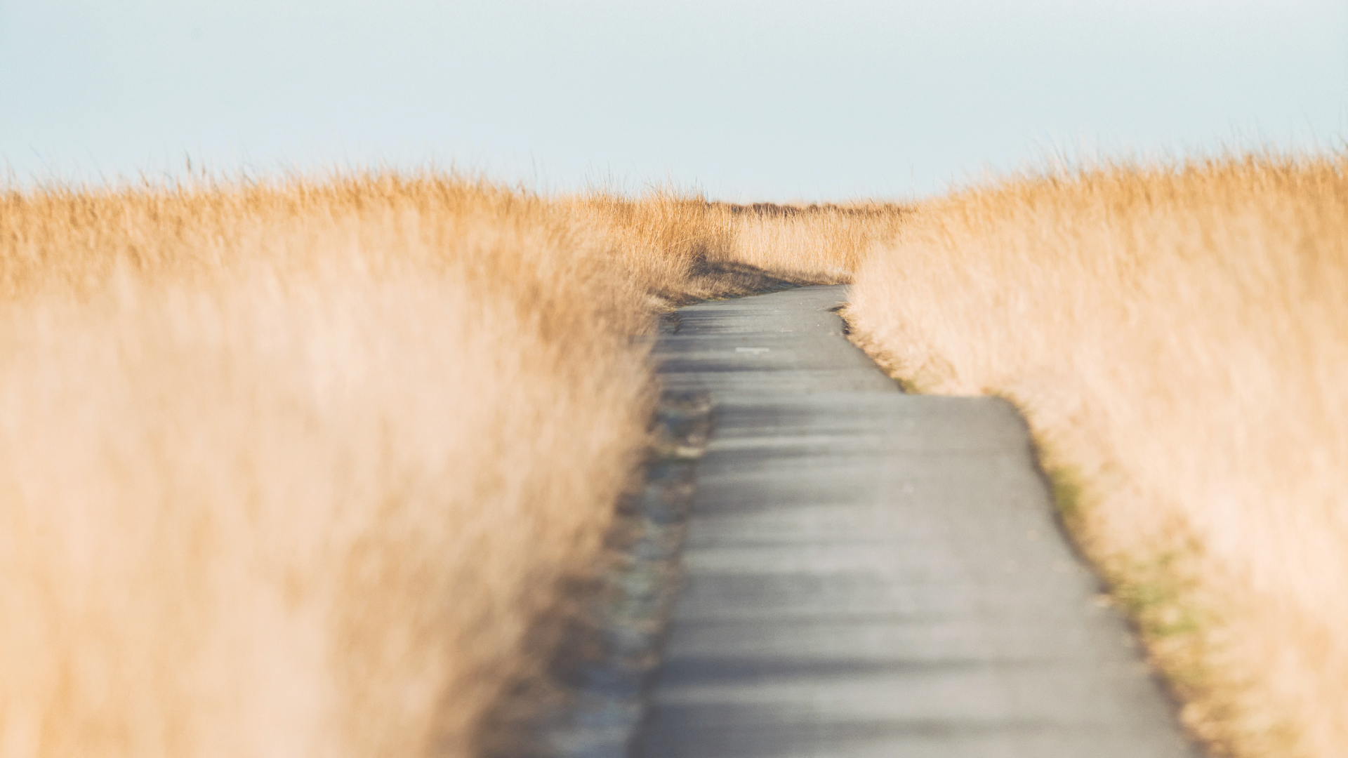 chemin